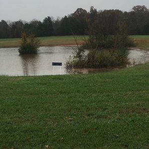 Meet your Posher, Ruby